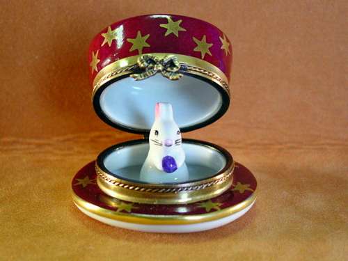 MAGICIAN HAT W/RABBIT